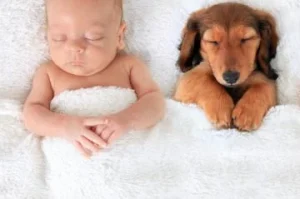 Newborn-baby-and-puppy-360x239